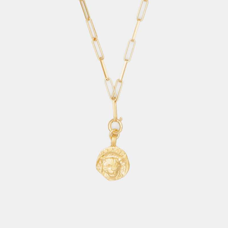 Medusa Charm on Cairo Chain in Gold