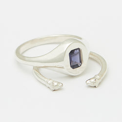 Evan Birthstone Stack Rings in Silver