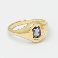 Evan Birthstone Signet Ring in Gold