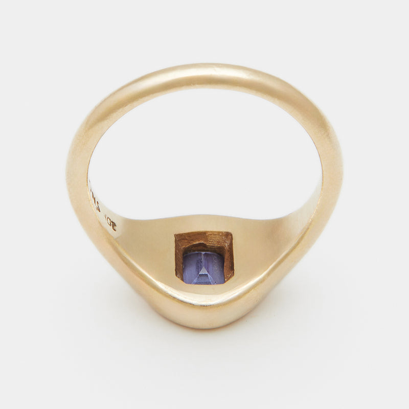 Bague Chevalière Evan avec Pierre de Naissance en Or
