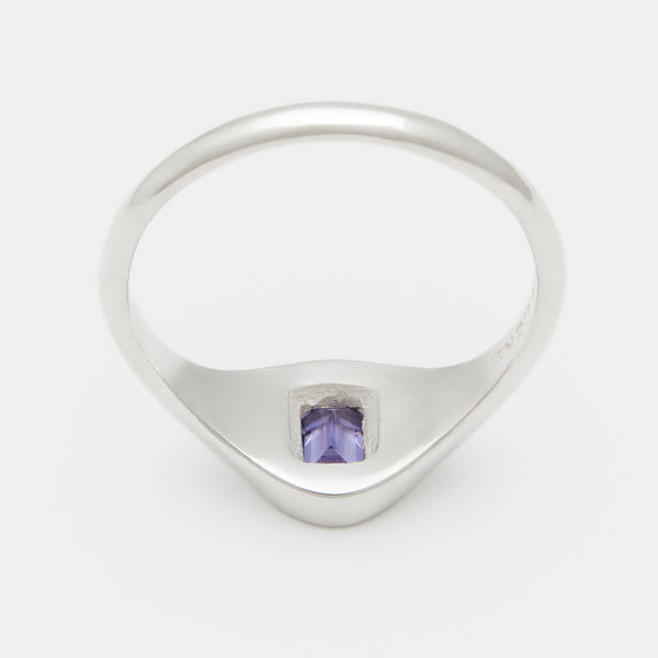 Evan Birthstone Signet Ring in Silver