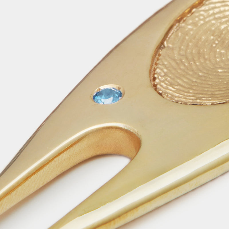 Camille Birthstone Divot Repair