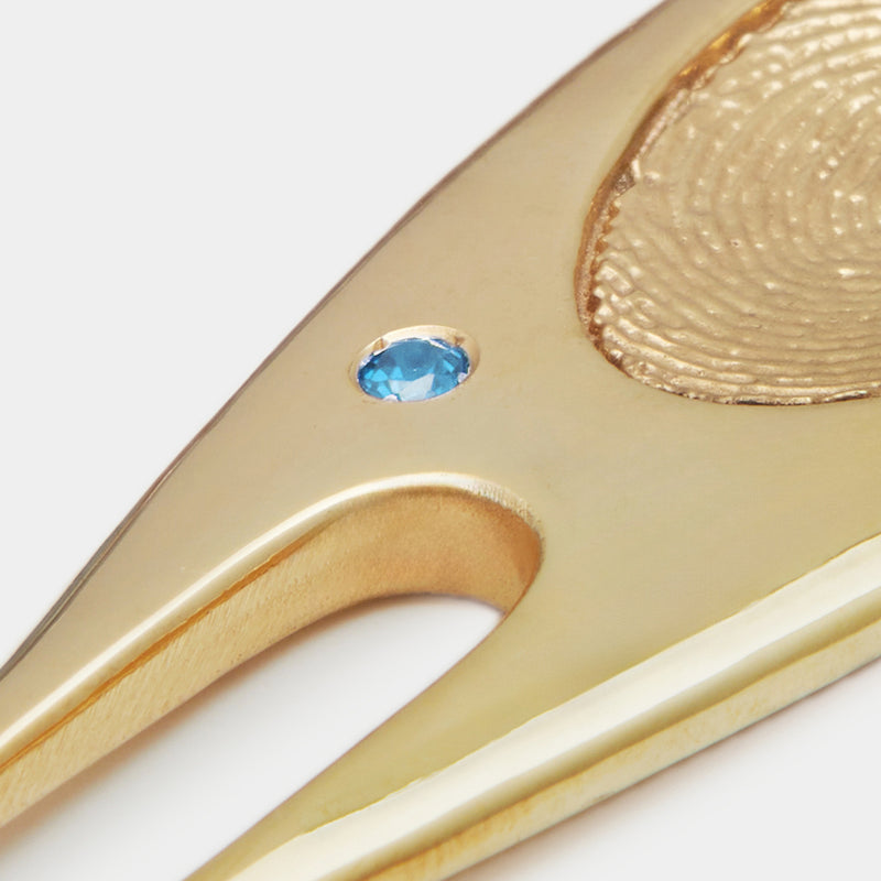 Camille Birthstone Divot Repair