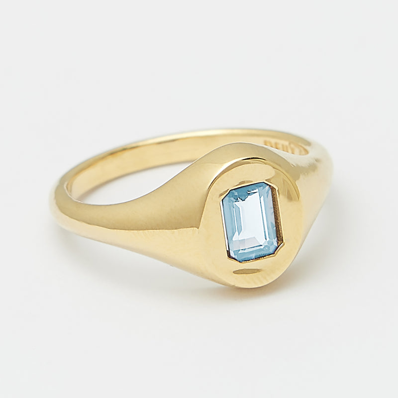 Evan Birthstone Signet Ring in Gold