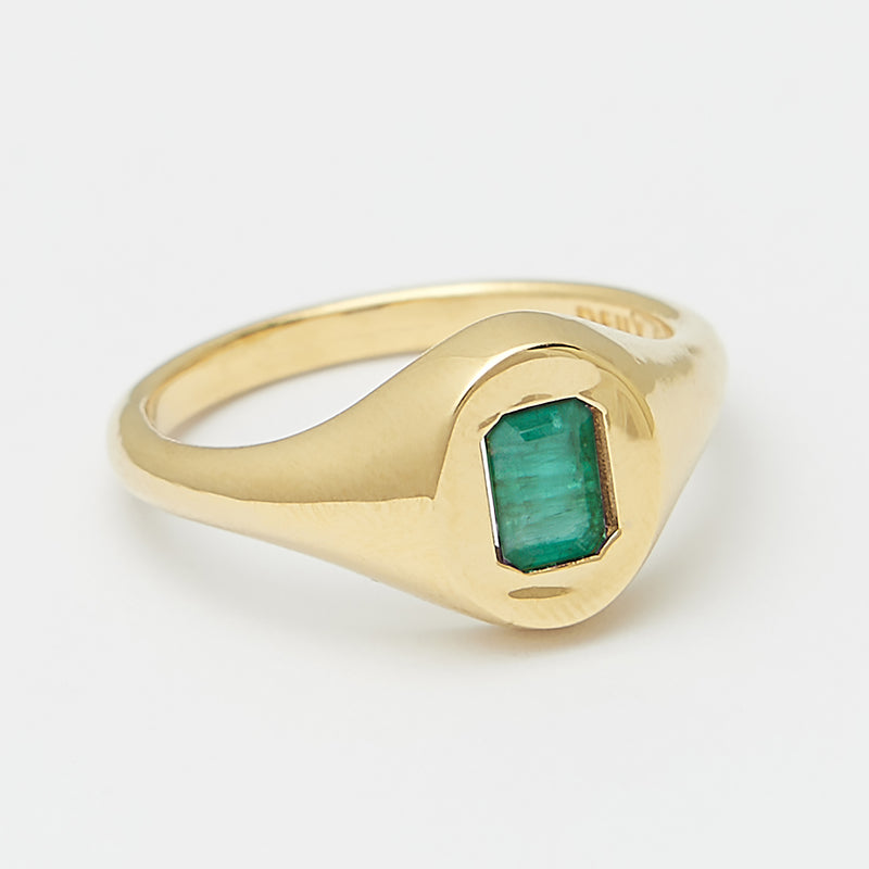 Evan Birthstone Signet Ring in Gold