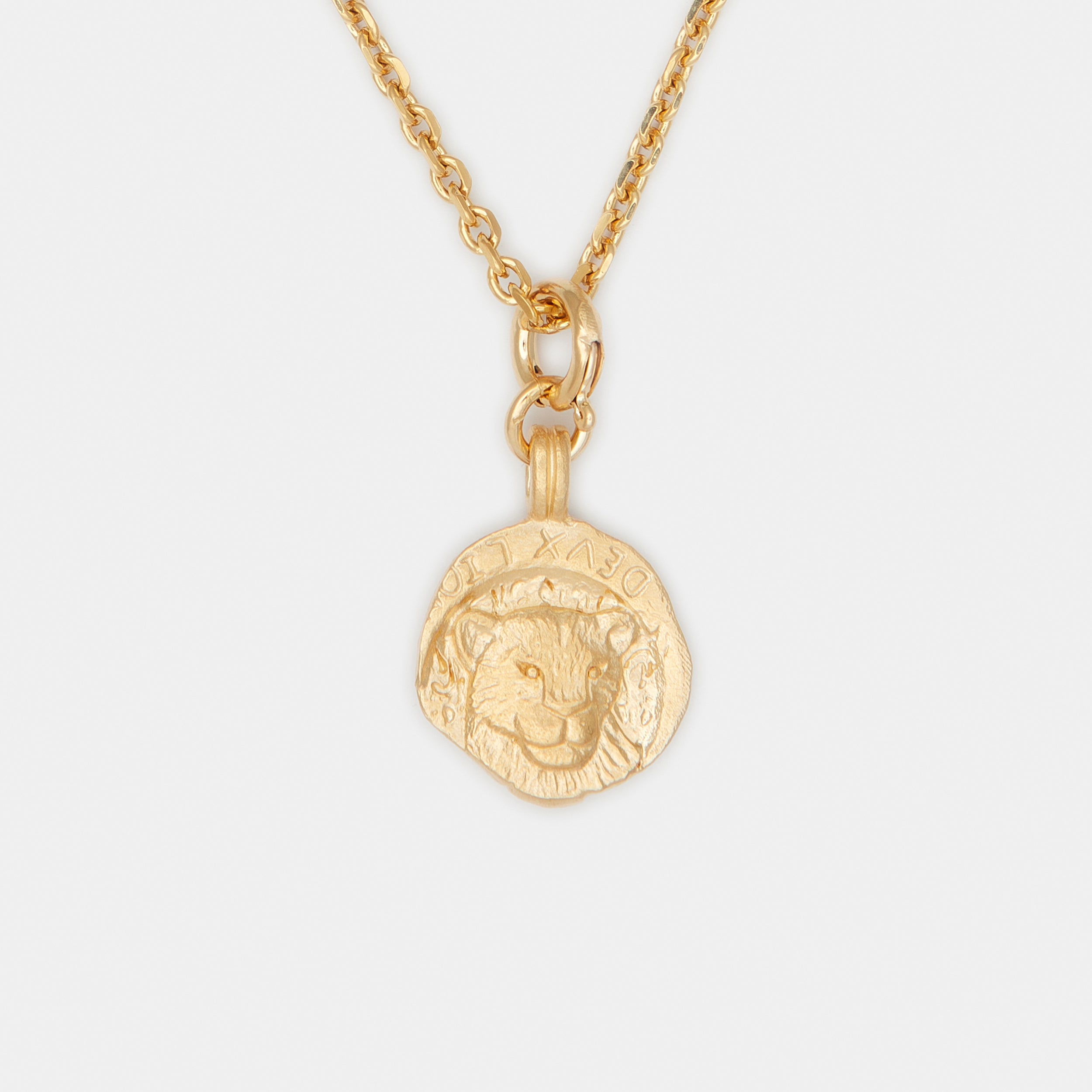 Medusa Charm Necklace in Gold – DEUX LIONS JEWELRY