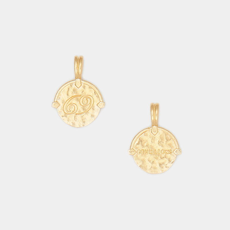 Baby Lion Tag and Zodiac Combo Necklace in Gold