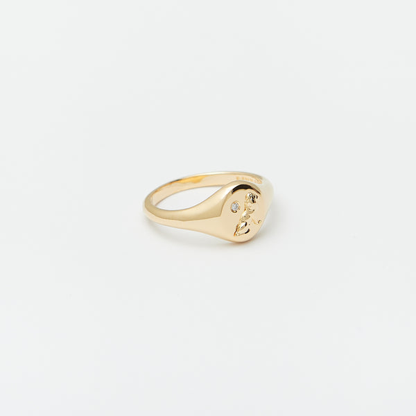 Moonshine Signet Ring in Gold