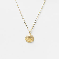 Siobhan Shell Necklace in Gold