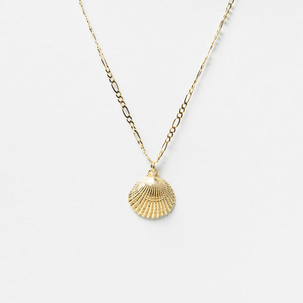 Collier Coquillage Siobhan en Or