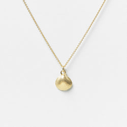 Baby Shell Necklace in Gold