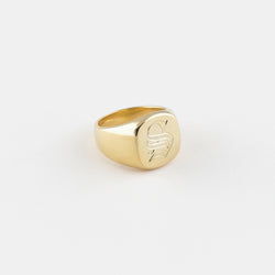 Bold Signet Ring in Gold