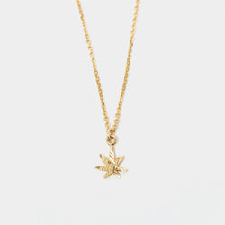 Mary Jane Choker Necklace in Gold
